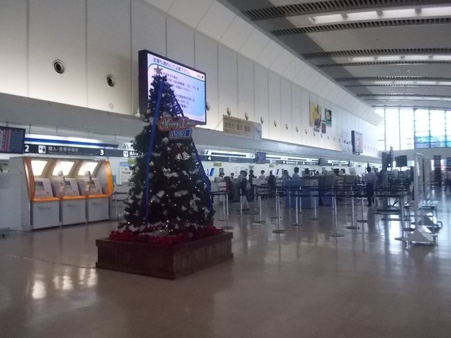 羽田空港からJAL915便で那覇空港に行きました。