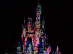 Ｔｏｋｙｏ　Ｄｉｓｎｅｙｌａｎｄ　Ｃｈｒｉｓｔｍａｓ　Ｆａｎｔａｓｙ　２０１５