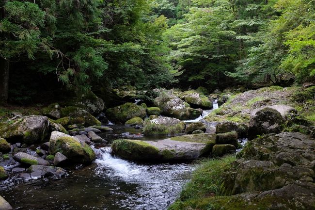 伊豆旅行の締めくくりに、滑沢渓谷（なめさわけいこく）を見て周ります。河津七滝よりさらに人が少なく、穴場中の穴場かもしれません。