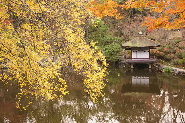 阪南市を訪問したついでに、もう少し足を延ばして、久しぶりに和歌山に行ってみました。<br />和歌山で秋を探そう…と、一番わかりやすそうな場所、和歌山城を訪ねてみました。<br /><br /><br />過去の和歌山・和歌山市散歩記<br /><br /><br />関西散歩記～2012 和歌山・和歌山市編～<br />http://4travel.jp/travelogue/10734409