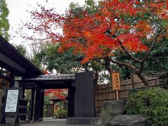 向島百花園・秋の終わり