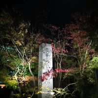 2015 秋の京都 美食めぐり＜第2日夜＞東山紅葉ライトアップは大行列！
