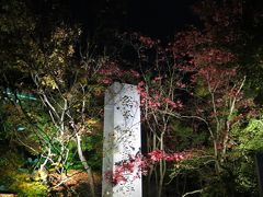 2015 秋の京都 美食めぐり＜第2日夜＞東山紅葉ライトアップは大行列！