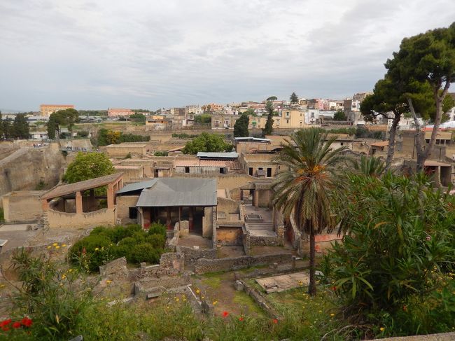 2014年6月から7月にかけて、イタリア、フランス、スペインを勝手気ままに歩いた一人たびの心地よさが忘れられず、年が明けるや否や新しいプランを作成。今年は昨年最も強く心を惹かれてしまったイタリアに集中することにしました。6月のトスカーナは連日35度を超す猛暑だったので、今年は1か月前倒し。<br /><br />まずは行きたいところをピックアップして、たびの拠点となる都市を選定。宿泊施設を押さえてから、詳細を詰めていくというのが私のスタイルなのですが、例によってこれも見たい、あそこも行きたい・・・とかく欲張りな私のこと、1か月じゃあ全く時間が足りないことがすぐに判明しました。とはいえ、時間とお金は限りあるもの。優先順位を決めて、何とかやりくりをして決めたのが下記のプランです。<br /><br />イタリアには過去3度行ったことがあります。<br />最初のたびは、大学生の頃、スイスのチューリッヒから日帰りで行ったミラノ。最後の晩餐だけ見に行ったような、慌ただしいたびでした。<br />2回目は2001年、シシリアとアルベルベッロ、カプリ島、ローマを2週間かけて回りました。<br />3回目が2014年、ベネチアとトスカーナ州、リグーリア州が中心の2週間。<br /><br />今回は、過去に行ったことのない場所をメインとした旅程となりました。たびを重ねるうちに、自分が最も興味を惹かれるものは、古い建物、神社仏閣教会等、そして彫刻、絵などの美術品　全て人が作り出したものだということがわかってきました。中でも、ここ2、3年、以前はあまり興味が沸かなかった教会に強く惹かれる自分がいます。基本的には無宗教なのですが、現在より人々の心が純粋で、神を敬う気持ちが強かった頃でなければ、創り上げられなかった文化の結晶とでもいうべき施設には畏敬の念を覚えます。というわけで、今回のたびの中心は教会を巡る街歩きとなってしまいました。<br /><br />イタリア語は皆目見当がつかず、付け焼刃で2週間ほど本を見て勉強しましたが、やるとやらないでは大違い。後は度胸と愛嬌？で前進あるのみ。御陰様で、とても自己満足度の高いたびになりました。<br /><br />2015/5/6	水	成田→モスクワ→ローマ<br />2015/5/7	木	ローマ<br />2015/5/8	金	ローマ→ティヴォリ→ローマ<br />2015/5/9	土	ローマ<br />2015/5/10	日	ローマ<br />2015/5/11	月	ローマ<br />2015/5/12	火	ローマ<br />2015/5/13	水	ローマ→ナポリ<br />2015/5/14	木	ナポリ→ソレント→アマルフィ→ラヴェッロ→アマルフィ→サレルノ→ナポリ<br />2015/5/15	金	ナポリ<br />2015/5/16	土	ナポリ→エルコラーノ→ナポリ→カゼルタ→ナポリ<br />2015/5/17	日	ナポリ→バーリ<br />2015/5/18	月	バーリ→マテーラ→バーリ<br />2015/5/19	火	バーリ→レッチェ→バーリ<br />2015/5/20	水	バーリ→オストゥーニ→チェリエ・メッサピカ→マルティーナフランカ→バーリ<br />2015/5/21	木	バーリ→アンコーナ→フォリーニョ<br />2015/5/22	金	フォリーニョ→スペッロ→アッシジ→フォリーニョ<br />2015/5/23	土	フォリーニョ→トレヴィ→スポレート→フォリーニョ<br />2015/5/24	日	フォリーニョ→ペルージャ→フォリーニョ<br />2015/5/25	月	フォリーニョ→コルトーナ→オルヴィエト<br />2015/5/26	火	オルヴィエト→チヴィタ　ディ　バーニョレージョ→オルヴィエト<br />2015/5/27	水	オルヴィエト→アレッツォ→オルヴィエト<br />2015/5/28	木	オルヴィエト→フィレンツェ→ボローニャ<br />2015/5/29	金	ボローニャ→ラヴェンナ→ボローニャ<br />2015/5/30	土	ボローニャ→モデナ→ボローニャ→フェラーラ→ボローニャ<br />2015/5/31	日	ボローニャ<br />2015/6/1	月	ボローニャ→パドヴァ→ヴィチェンツァ<br />2015/6/2	火	ヴィチェンツァ→パドヴァ→ヴィチェンツァ<br />2015/6/3	水	ヴィチェンツァ→ヴェローナ→ヴィチェンツァ<br />2015/6/4	木	ヴィチェンツァ<br />2015/6/5	金	ヴィチェンツァ→ミラノ<br />2015/6/6	土	ミラノ<br />2015/6/7	日	ミラノ<br />2015/6/8	月	ミラノ→モスクワ→<br />2015/6/9	火	→成田<br /><br /><br />ナポリ滞在最終日は、カンパニア州アルテカードを使って、二つの世界遺産を訪れます。<br /><br />お世辞ににも綺麗とはいえないチルクム・ヴェスヴィアーナ鉄道で、一昨日と同じソレント行きに乗りこみます。ポンペイは14年前に訪れたので（もうほとんど忘れていますが）、今日は、火砕流に覆われた町エルコラーノを訪ねます。<br /><br />今朝は日本の某大手メーカーのおじさま方約10名と駅で遭遇。イタリアとの合弁事業を立ち上げるために出張でいらっしゃったとのことで、今日がナポリ最終日なので、これからポンペイへ向かうと話しておられました。<br /><br />ナポリ駐在員を決めなければならないのだけれど、誰も手を挙げる人がいないようで、前回インドに駐在されていた、集団の中では比較的若い男性を皆が「お前だったら、どんなところでも住めるよ」と言ってしきりに持ち上げていたのが印象的でした。<br /><br />一つ気になったのは、おじさま方が駅のホームで、札束を財布から出して会計をしていたこと。「お金持っています」って宣伝しているようで、大変気になりました。集団だと気が大きくなるのだろうけれど、スリがうじゃうじゃいるんですよ。この国には！　<br /><br />「財布を人前で出すのは厳禁ですよ。気をつけてくださいね。」って申し上げましたが、ご無事だったでしょうか？<br />