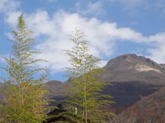 この秋3度目の大分～今度は由布院