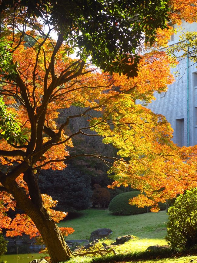 東京国立博物館の本館北側に広がる庭園は、池を中心に5棟の茶室を配し、四季折々の花や紅葉に彩られる憩いの 空間です。かつてあった動植物の研究部門「天産部」の名残で、珍しい樹木や野草が植えられているのも特徴です。また、5代将軍徳川綱吉が法隆寺に献納した 五重塔や、石碑や燈籠などが庭園には遺されています。<br />※春と秋の庭園開放では、庭園を自由に散策いただけます<br />春の庭園開放：2016年3月15日(火)〜4月17日(日)  10:00〜16:00　<br />秋の庭園開放：2016年10月25日(火)〜12月4日(日)  10:00〜16:00<br /><br />春草廬　しゅんそうろ<br />江戸時代、河村瑞賢（かわむらずいけん1618〜1699）が摂津淀川改修工事の際に建てた休憩所で、その後大阪へ、さらに原三渓（1863〜1939）に よって横浜の三渓園に移され、昭和12年（1937）に埼玉県所沢市にある松永安左エ門（耳庵・1875〜1971）の柳瀬荘内に移築されました。昭和 23年に柳瀬荘が当館に寄贈され、昭和34年に春草廬は現在の位置に移されました。入母屋（いりもや）の妻に掲げられた「春草廬」の扁額は、能書家として 知られる曼殊院良尚法親王（1622〜1693）の筆で、三渓が耳庵に贈ったものです。 <br /><br />転合庵　てんごうあん<br />小堀遠州（1579〜1647）は八条宮から茶入「於大名（おだいみょう）」を賜った際に、その披露のために京都伏見の六地蔵に茶室転合庵を建てました。1878年、京都の寂光寺に伝わっていた転合庵を、渡辺清（福岡県令、福島県知事、男爵）が譲り受け、東京麻布区霞町に移築。その後、三原繁吉（日本郵船の重役。浮世絵コレクター）へと所蔵者が変わっています。三原は茶入「於大名」も入手し、茶室転合庵とゆかりの茶入「於大名」がここで再び巡り合うこととなりました。その後、塩原又策（三共株式会社　今の第一三共の創業者）を経て、妻の塩原千代から1963年に茶入とともに当館に寄贈されました。 <br /><br />六窓庵　ろくそうあん<br />慶安年間（17世紀中頃）に奈良の興福寺慈眼院（じげんいん）に建てられた金森宗和（かなもりそうわ　1584〜1656）好みの茶室。もとは興福寺大乗院 内にあり現在奈良国立博物館に移された八窓庵、東大寺塔頭四聖房の隠岐録（おきろく）とともに大和の三茶室といわれました。明治8年（1875）に博物館 が購入、解体輸送中に伊豆で船が難破しましたが、幸い材は流失をまぬがれて明治10年に当館に移築されました。その後、第二次大戦中再び解体され疎開しま したが、昭和22年（1947）9月、数寄屋の名工木村清兵衛により現在の位置に再建されたものです。水屋、寄付、腰掛などは明治14年に古筆了仲（こひ つりょうちゅう）によって設計、増築されたものです。にじり口にある手水鉢（ちょうずばち）は四方仏水盤といわれる形式のもので、延長3年（925）関白 藤原忠平が建立した山城国法性寺の石塔のひとつでした。その後、銀閣寺を経て所有者がいく人か変わり、明治18年に博物館の所有になりました。 <br /><br />応挙館　おうきょかん<br />尾張国（現在の愛知県大治町）の天台宗寺院、明眼院（みょうげんいん）の書院として寛保2年（1742）に建てられ、後に東京品川の益田孝（鈍翁・ 1848〜1938）邸内に移築、昭和8年（1933）当館に寄贈され、現在の位置に移されました。室内に描かれている墨画は、天明4年（1784）、円 山応挙（まるやまおうきょ　1733〜1795）が明眼院に眼病で滞留していた際に揮亳したものであると伝えられています。床張付に老松と石と竹、腰障子 に稚松と石と竹を描いています。 ※ 応挙館の障壁画については、作品保護のため複製画に差し替えました(2007年8月)。  <br /><br />九条館　くじょうかん<br />もと京都御所内の九条邸にあったものを東京赤坂の九条邸に移した建築で、当主の居室として使われていました。昭和9年（1934）九条家から寄贈され、現在 の位置に移築されました。床張付、襖などには狩野派による楼閣山水図が描かれており、欄間にはカリンの一枚板に藤花菱が透かし彫りされています。 <br /><br />五重塔<br /> 高さ570センチメートルの銅製の塔。最上部の相輪には龍が絡み付き、垂木（たるき）、斗拱（ときょう）の組み物の細部まで入念に作られています。基壇に第 五代将軍徳川綱吉（1646〜1709）が法隆寺に奉納した旨の銘文「大和国法隆寺元禄元年十二月日常憲院徳川綱吉」が線刻されています。綱吉の存命中 （宝永6年・1709没）に、院号と俗名を併記することは一般的になく、没後奉納時の年号と施主の銘文が書き加えられたのでしょう。 <br />（http://www.tnm.jp/modules/r_free_page/index.php?id=121　より引用)<br /><br />東京国立博物館は、日本と東洋の文化財（美術品、考古遺物など）の収集保管、展示公開、調査研究、普及などを目的として独立行政法人国立文化財機構が運営する博物館である。<br /><br />1872年（明治5年）に創設された、日本最古の博物館である。東京都台東区の上野恩賜公園内にある。本館、表慶館、 東洋館、平成館、法隆寺宝物館の5つの展示館と資料館その他の施設からなる。2015年3月31日時点で、国宝87件、重要文化財634件を含む収蔵品の総数は116,268件で、これとは別に、国宝56件、重要文化財256件を含む総数3,064件の寄託品を収蔵している。このうち陳列総件数は約7,200件である。2014年度の来館者数は約191万人。<br />（フリー百科事典『ウィキペディア（Wikipedia）』より引用）<br />  <br />東京国立博物館　については・・<br />http://www.tnm.jp/