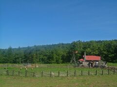 北海道周遊 2004夏  ＜美瑛～小樽＞