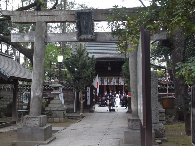 東京十社めぐり十社目は港区赤坂六丁目にある赤坂氷川神社。<br /><br />９５１年創建の古い神社。元は赤坂四丁目にあったのを徳川吉宗の命により現在の地に遷座され、その際に造営された社殿が今でも残っています。<br />江戸七氷川の筆頭。<br /><br />クリスマスが近かったので、フレンチレストランでランチを頂き、Ｋバレエカンパニーの「くるみ割人形」を観劇しました。<br /><br /><br />