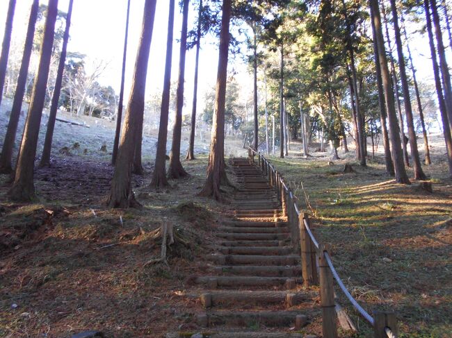 葛山城(かずらやまじょう、静岡県裾野市葛山)の築城時期は判然としませんが、南北朝時代に駿東郡一帯に勢力を有していた藤原惟康の孫親家が大森氏と称し今川氏に仕えながら富士川以東を所領として栄え後に小田原に移住、他方子惟兼が当地に残り葛山氏と名乗って居館を構え、後に有事の際の詰城として築いた並郭式の山城です。暦応元年(1338)足利尊氏(あしかが・たかうじ)が京都室町に幕府を創設、併せて出身地の上野国足利荘を含む関東8ケ国に甲斐・伊豆を加えた10ケ国(後に奥州2ケ国が追加編入)について尊氏は幕府の出先機関を鎌倉に置いて長男義詮(よしあきら)に代わる四男基氏(もとうじ)に政権運営を委ねることになります。葛山氏が領する駿東郡は駿河国の一部で鎌倉府の行政地域の外にあって当然幕府の管轄に属し、具体的には駿河守護の今川氏領国でありこの事から葛山氏は大永元年(1521)の今川氏家臣福島正成(くしま・まさなり)率いる甲斐武田氏侵攻に出兵するなど今川氏の被官の国衆とするも自領の地勢的な不安定さを考慮して付かず離れずの半独立性を指向します。長禄2年(1458)足利義教(あしかが・よしのり)の子である政和(まさとも)が堀越公方として伊豆国に下向、駿河国衆の葛山氏は同公方の影響下にありましたが新将軍足利義澄(あしかが・よしずみ)の命によって伊勢新九郎宗瑞(北条早雲)の指揮下に入って足利茶々丸の討伐に加わります。その後は北条氏による伊豆国及び相模国の領有化に葛山氏は関与を進め、これを機に早瑞のもとへ葛山氏の娘が嫁ぎ、その後早瑞の子である氏広(うじひろ)が葛山氏の養子となって家督を引き継ぎます。上述のように今川氏の重臣でもあり、同時に小田原北条氏の一族でもある立場を続けるなか、氏広は武田信玄の甲斐国とも領土を接していることから武田氏の進出を念頭において甥の御宿友綱(みしゅく・ともつな)を人質として送り込み極めて厳しい局面を乗り切ろうとします。しかし永禄3年(1560)今川義元が尾張国桶狭間に討取られ、これを契機に今川氏の求心力は衰え没落の一途を辿り、葛山氏も衰退をしていくなか当主氏元(うじもと)は武田方の穴山氏と共に北条氏家臣が守備する大宮城を攻撃して武田氏との同盟関係は良好に推移します。その後氏元は北条氏に内通しているとの嫌疑をかけられ誅殺され、信玄は人質として置かれていた氏元の娘に自分の六男信貞(のぶさだ、??1582)を養子として葛山姓を名乗らせ葛山氏領を継承させることで事実上の支配政策を採ります。天正10年(1982)織田信長の武田氏攻略によって陣代ながら事実上の武田氏棟梁である武田勝頼は天目山で自害、始祖である新羅三郎義光の血を継ぐ甲斐源武田氏は滅亡、信貞も甲府善光寺にて殺害され葛山氏も滅亡します。葛山城本丸に至る中腹にある葛山氏廟の横に立っている説明板には次の如く記載されています。「葛山城 指定種目 裾野市指定史跡 指定年月日 昭和四十八年二月二十四日葛山城は鎌倉・室町・戦国期を通じて、駿東一帯に勢力を持った葛山氏の本拠地である。この地には、葛山氏が平時居住した館跡と、戦闘に備えて築城した城跡があり、中世城郭の形態を明確に知ることができる数少ない貴重な史跡である。城の構造は、主郭(本丸)、二の曲輪、東曲輪、西曲輪、大手曲輪とその他の小郭群、堀切から成り、山頂部を階段状に平らに削って主郭を中央に設け、左右に曲輪を配している並郭式の山城である。葛山氏は藤原鎌足の流れをくむ、藤原道隆の子伊周を祖とし、惟康の次男親康が大森に住んでいたので、大森氏を名乗り、惟親の三男惟兼が葛山に住んでいたので葛山氏と名乗ったとされる。戦国期葛山は氏堯・氏広・氏元と三代続き、天文初年頃(1532頃)氏広・氏元は駿府で公家と交流し歌を詠んだことが、当寺今川氏と関係深かった冷泉為和の歌集「為和卿集」にその様子をうかがい知ることができる。また、墓所の玉垣と門扉は江戸時代期のもので、門扉には丸に武田菱が刻まれている。葛山氏の墓に武田の紋があるのは不自然であるが、葛山氏の最後の領主は武田信玄の六男信貞とされ、武田氏滅亡の天正十年の年(1582)小山田信茂とともに甲斐善光寺で最期を迎えることになり、法号陽春院瑞香浄英という。その供養の意味をこめて造ったものと思われる。 葛山氏系図 ー 略 ー 裾野市史より」また葛山氏居館跡入口に掲載の「葛山館跡」と題する説明は次の通りです。「葛山館跡 市指定史跡・昭和48年2月24日指定葛山館跡は、12世紀前半(平安時代)から16世紀後半(室町時代)にかけ、東駿一帯に勢力を振っていた葛山氏が平時居住していた館を構えた地である。館跡は、東西約97メ?トル、南北約104メ?トルで約1万平方メ?トルの規模があり、東西と北に土塁が残存している。土塁規模は馬踏幅約1.2メ?トル、高さ約3.5メ?トル、底敷幅約10メ?トルほどある。出入口は現在三ケ所あるが、北東隅と西側北の二ケ所は後世の間口といわれ、西側南の開口部が門址とされる。この城館の西隣に接続して半田屋敷、荻田屋敷と、その北西に岡村屋敷があり、葛山館と重臣屋敷は、総体的に複濠複郭式の館を構成している。このうち半田屋敷北側には、今も土塁址が残存している。また、北側と東側には土塁に沿って濠があったが、埋め立てられ、堀田という地名になっている。館跡東南済が「鍛冶屋敷」、館の南側を流れる大久保川を隔てた南西側の金毘羅山の裾野を「金山」といい、「馬場」、「陣加堂」「上円」、「中村」など城下集落に関係の深い小字名が残っている。平成元年に館跡の発掘調査が行われ、中世のカワラケや常滑焼の壅片などが発見、確認されている。 裾野市教育委員会」