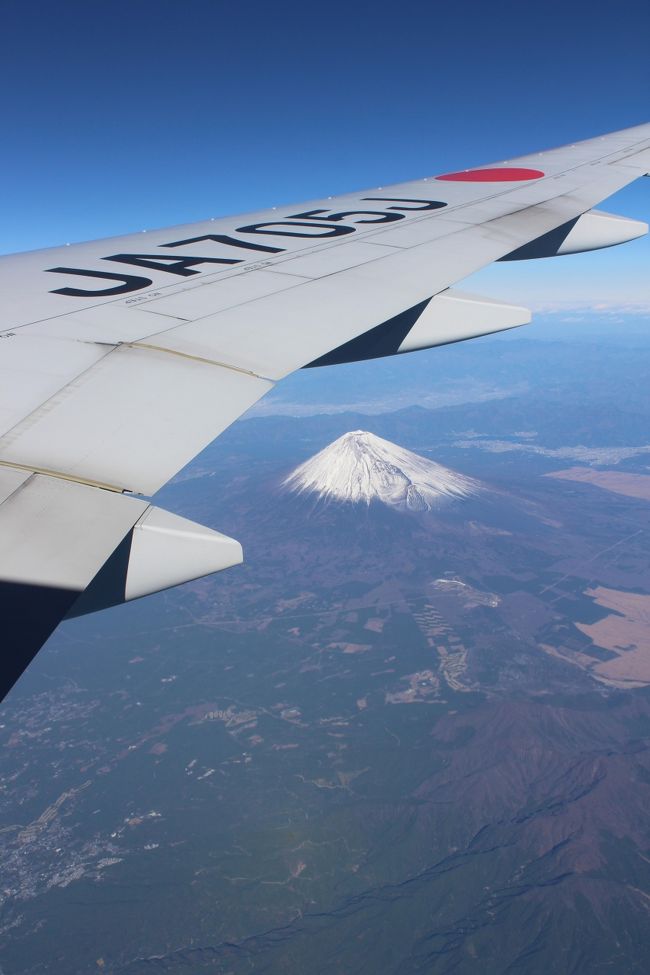 2015年、3度目の海外は初めての香港旅行となりました。<br />（2015年最初はイタリア、2度目はドイツとなりますがドイツ旅行記録は未作成です）<br /><br />アジア旅行自体が2013年6月のシンガポール以来となりますので2年ぶり。<br />アジアの熱気と香港のグルメをそれなりに堪能できた旅行となりました。