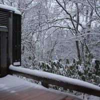 暖冬の今年…。さて高山は？　海外からの旅客で人気な高山・奥飛騨温泉旅行　Part.1　（菅沼合掌造り集落・深山桜庵）