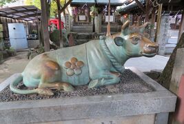 2015秋、今池の高牟神社(3/3)：高牟神社境内、元古井発祥之地石碑、高牟神社界隈の光景