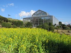 伊豆下田への旅②爪木崎花園を訪問