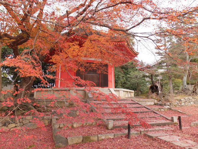 紅葉シーズンも終わり、観光客も少なくなって、<br />少し静かな京都を訪問。<br />所々に秋の名残を感じることができてました。<br /><br />