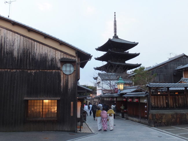 冬晴れのこの日は、二条城と東山を散策。<br />何度、京都に行っても、夜の祇園には魅せられてしまいます。