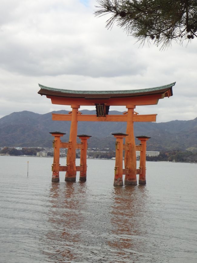 最終目的地は広島の親戚宅。<br /><br />本来なら直接飛行機で広島入りするのですが、到着時間が微妙だったために神戸寄り道コースに。<br />神戸で一泊して、翌日午後に新幹線で広島入りすることにしました。<br /><br />今回は４歳児卯太朗と３か月羊之輔を連れての旅。<br />乳児連れはなかなか大変ではありますが、途中の授乳タイミングなども含めて書き残したいと思います。<br /><br /><br />１２月１６日　　新千歳→神戸（スカイマーク）<br /><br />１２月１７日　　新神戸駅より新幹線で広島へ<br /><br />１２月１８日　　宮島方面<br /><br />１２月１９日　　広島市内<br /><br />１２月２０日　　広島→新千歳（ＪＡＬ）