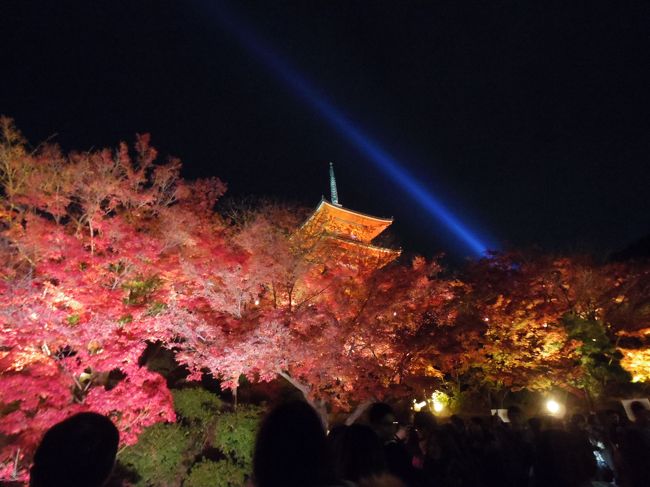 妻と結婚前に訪れて以来、35年ぶりに京都を旅しました。<br />清水寺のライトアップと紅葉がメインで楽しめました。