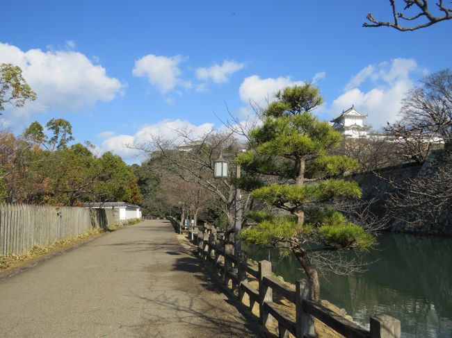 <br />　護国神社で初詣を済ませて<br /><br />　平成の大改修を終えた国宝姫路城へ、元旦限定「登閣無料」<br /><br />　これは利用しなければなるまい<br /><br />　<br /><br /><br /><br /><br /><br />表紙　　　　　　　　　　　　　　　外堀好古園付近