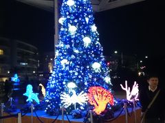 新江ノ島水族館　2015.12