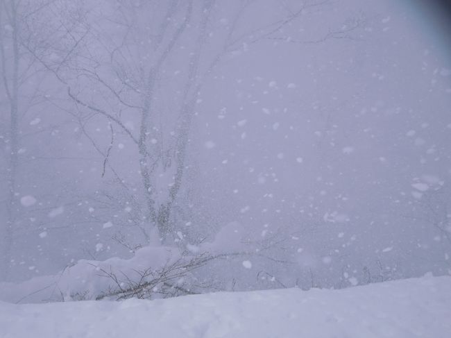 2015年の登り納めはどこにしよう？<br />せっかくだから雪のあるところ、ある程度勝手がわかるところ、という基準で選んだのが谷川岳。<br />秋の初登攀が絶好のコンディションに恵まれ好印象だったこともあり、アクセスが比較的容易なのも決め手の一つになった。<br /><br />仕事納めの翌日、まずは一ノ倉沢の氷壁を拝み、翌日は天神平から行けるところまでと言うプラン。<br />往路は新幹線、復路はのんびり在来線でコストカット(笑)<br /><br />天気予報ではまずまずであったが･･･