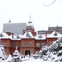 冬の札幌・フィギュアスケートと動物園でもふもふの旅