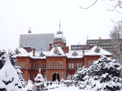 冬の札幌・フィギュアスケートと動物園でもふもふの旅