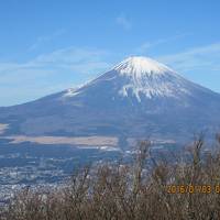 箱根・金時山の新年