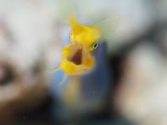 石垣島一人旅その３