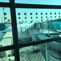 エミレーツ航空 207便 エアバス A380-800 ドバイ発ニューヨーク行き ファーストクラス搭乗