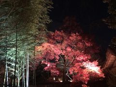 京都・嵐山花灯路2015