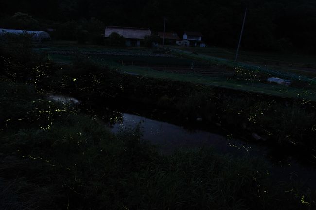 018島流し　川根のホタル祭り