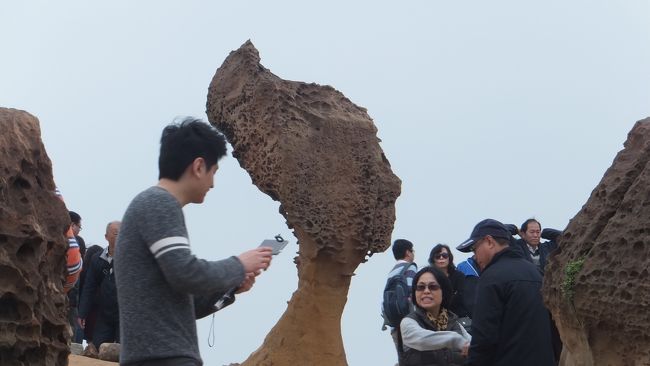 今年も正月には台湾に行きました。<br />これで3年連続4度目の訪台ですが、今年は年末30日に日本を出て、年が明けた3日に帰国というこれまでになかったパターンでした。<br /><br />1月2日になりました。<br />「基隆」で一泊をしましたが、もう明日は帰国・・・(悲)。<br />一日動くことが出来るのはこの日だけになってしまいました。<br />まずは、「野柳地質公園」に行ってみます。<br /><br />☆ (1)飛行機は初めてのトランスアジア航空。夕食は「火鍋」!<br />☆ (2)異国情緒たっぷりの「淡水」の街を歩きました!<br />☆ (3)引き続き「淡水」散策を楽しんでおります!<br />☆ (4)いよいよ「台北101カウントダウン花火」!<br />☆ (5)「台湾総統府」一般公開で、建物内を見学!<br />☆ (6)「二二八和平公園」では、台湾リスにも遭遇!<br />☆ (7)台北を出て、「基隆」に2泊します!<br />★ (8)「野柳地質公園」で、奇岩を見ました!<br />☆ (9)急遽、大混雑の「九イ分」へ行くことに!<br />☆(10)バスを乗り継ぎ、帰国の途に。