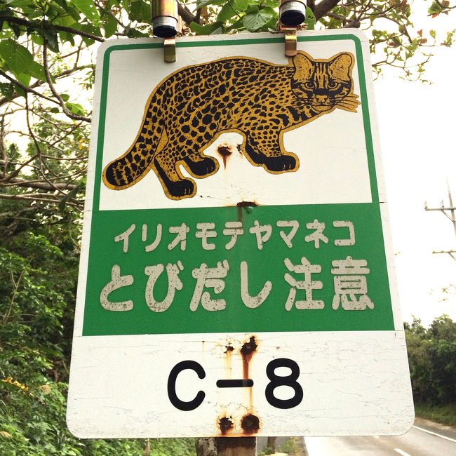 家族4人でのんびり過ごそうと思い八重山へ!<br />運よく年末年始スペシャルの「旅割」で片道だけ11010円でエアをゲット。<br /><br />冬の八重山、何もかもが最高でした!<br /><br />2日目はトレッキングと由布島です。<br /><br />2015-12-31<br />名古屋(中部)空港発 10:55発 ⇒石垣空港着 13:55着<br />↓<br />石垣港発16:10~大原港着17:00<br />↓<br />エコヴィレッジ西表 泊<br />http://eco-village.jp/<br /><br />2016-01-01<br />浦内川からトレッキング<br />↓<br />由布島<br />↓<br />エコヴィレッジ西表 泊<br /><br />2016-01-02<br />竹富島<br />↓<br />ホテルエメラルドアイル石垣島 泊<br />http://isle.okinawa/<br /><br />2016-01-03<br />石垣島ドライブ<br />↓<br />石垣空港発 14:45発 ⇒名古屋(中部)空港着 17:00着(15分遅れ)<br />