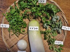 仕事始めは七草摘み Seven herbs of spring in Kotesashi