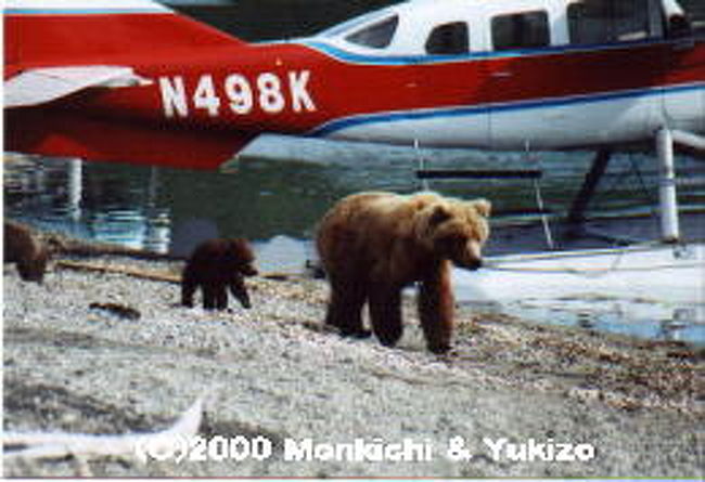 Katmai National Park カトマイ国立公園 その他の観光地 アメリカ の旅行記 ブログ By Monyuki00さん フォートラベル Katmai National Park カトマイ国立公園 その他の観光地 アメリカ の旅行記 ブログ By Monyuki00さん フォートラベル