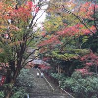 紅葉の奈良一人旅　（3日目）室生寺～名古屋～東京