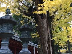 紅葉の奈良一人旅　（1-2日目）夜行バスで移動、奈良公園周辺観光