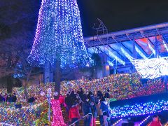 所沢1/3　西武園ゆうえんちイルミージュ　300万球が光輝く　☆埼玉県内で人気１位