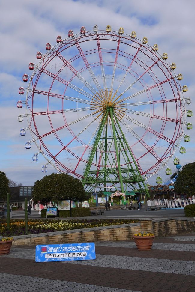 国営ひたち海浜公園