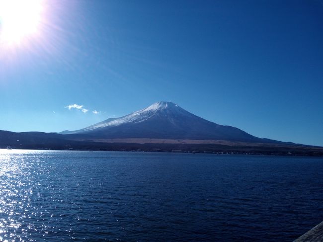 ２０１５−１６の年越旅は雄大な富士山を雲ひとつない絶景で見るのが目的！<br />プラス、美味しいものを食べ、温泉も楽しむ旅となりました。<br />金沢出発朝の５時<br />まず向かうのは、静岡でしかとれなくて新鮮なのはココでしか食べられないと食いしん坊を惑わす食材、桜エビ！<br />清水にある『くらさわや』さんへお邪魔しまして桜エビづくしを堪能♪<br />ここからでも富士山がみえるのですが、恥ずかしいのか、雲が…<br /><br />ランチを済ませて今日のお宿へ〜<br />富士の麓を時計回りに回り富士吉田にある『リゾートイン芙蓉』を目指します。<br />宿に着いたのは夕方６時頃かな？<br />リゾートインさんには、お風呂も居酒屋も併設されていて<br />ランチの桜エビが意外と量があったのでお腹空かすためにもお風呂へ〜<br />その前に、混んでいた居酒屋「はなの舞」で予約をいれるとお部屋呼び出しでＯＫだったので<br />お風呂を楽しんでから、お部屋でまったりしてたら、夜ごはんの時間。<br />チェーン店ですが、結構ご当地系のものもあったり<br />サービスの辛い青唐辛子のピクルスも美味しかったです。<br /><br />翌朝富士吉田は寒く、霜が降りていて車も真っ白、、、太平洋側でも標高が高いと寒いのねと実感しました。<br /><br />９時にホテルをチェックアウトし、次に向かうは『富士サファリパーク』<br />１０時頃に着いたのですが、意外といらっしゃるのねｗ<br />ジャングルバスで、やっぱりエサあげたいので１２時のキングライオンのバスを予約〜♪<br /><br />バス時間までは、犬の館でワンコ触り放題です〜<br />椅子に座ると、ぴょんととび乗る子、なんて愛おしいのこの子たちｗ<br />時間までお犬様を楽しんでから、いよいよジャングルバス出発！<br />１時間かけて、たくさんの動物達を見て回りました。<br />肉待ちのライオン近くで見れて良かった〜<br />冬だし、動いてないのかと思ってたのでｗ<br /><br />ランチはサファリ内の「フロンティア」でワイルドカレーをいただきました。<br /><br />園内をぶらつき、自分たちの車で再度サファリへ〜<br />１度見て回ってるので、重点的に回れるのイイですよね。<br /><br />それから、本日の宿へ向かいます。<br />大晦日から元旦にかけてのお宿は〜<br />箱根！と言いたいとこですが、芦ノ湖寄りの芦之湯温泉「きのくにや旅館」です。<br /><br />神奈川のふるさと割に申し込みをしまして<br />半額ほどでお泊りさせていただきました。<br />ふるさと割、フル活用♪<br />あ、富士吉田の宿も、ふるさと割プランでこちらもお安くｗｗ<br /><br />お部屋は広めで、ちょい寒ｗ<br />古めの旅館ですけど、綺麗にされてます。<br /><br />お料理は食べきれないほどの量があり最後には、年越しそばまで〜<br />本当はかき揚げが乗っかってるのですが、そこまで食べれないので、除いていただきました。<br /><br />それでも、食べきれなかったのですから。。。<br />申し訳ない。。。<br /><br />温泉は申し分なく、泉質がこんなにたくさんあるお風呂に入ったのは初めてでして大浴場も、少々白濁していて、硫黄の香りもあり、温泉だなー<br />寒い時期の露天なんて最高です♪<br />貸切風呂が付いていたプランだったので、離れにあるお風呂に。<br />ここがまた、源泉を引いているらしく、大浴場よりも濃厚でした。<br />３０分だけだったけど、ぽっかぽか♪<br />寒い夜道も全然平気ｗ<br /><br /><br />朝食はバイキングスタイルですが、お正月なのでお正月料理も並んで<br />お雑煮もありで、美味しくいただきました。<br /><br />お昼は、ケーキと女子っぽいですがｗ<br />山中湖を半時計回りで帰り道・・・やっとこ富士山は、全貌を現してくれて<br />むっちゃ綺麗な稜線を写真に撮ることができました〜♪<br /><br />やっと元旦に逢えた！おめでたい富士山見れてよかったー。