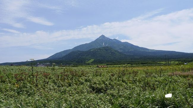 3日目は利尻島。前日札幌から夜行バスで稚内へ。利尻島を一周してその日のうちに再び札幌まで戻るという強行日程。<br /><br />3日目<br />札幌23:00～稚内5:30<br />稚内港7:15～利尻島鴛泊港8:55<br />利尻島鴛泊港14:25～稚内港16:05<br />稚内16:49～札幌21:55　ノボテル札幌宿泊