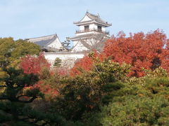 ＊年末2泊3日四国の旅＊レンタカーで愛媛・高知をゆく③