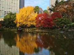 都心で紅葉狩り2015