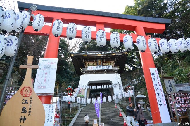 申年の初詣は、猿にゆかりの赤坂・日枝神社と虎ノ門・猿寺へ行ってきましたが、地元神奈川でもお詣りをしたいと思い、七草も終えて初詣も一段落したこの日、江の島へ出掛けました。<br /><br />江の島から見える富士山も期待したのですが、この日は雲が多く見えませんでした。