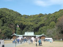 小正月の「静岡県護国神社・初詣」と、「清水船越堤公園・パンダカモ」の観察日記 ！