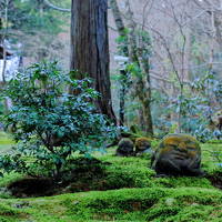 わびさびって何だろう？そんなこと考えながら年末の京都散歩