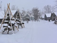 冬の余市から函館を巡る雪道ドライブ（１）