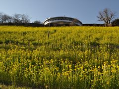 空いてて快適！冬のマザー牧場