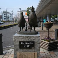 平成２７-２８年　年末年始のたび　⑤　小牧山城　そして旅終了