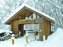 富良野ニングルテラスは、雪がしんしんと降っていた